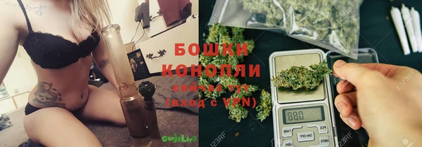 сатива Заводоуковск