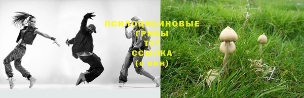 эйфоретик Михайловка