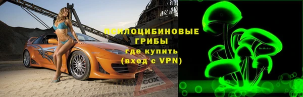 сатива Заводоуковск