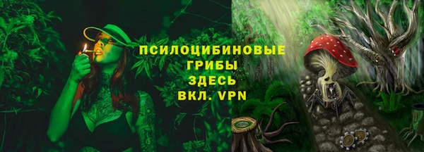 сатива Заводоуковск