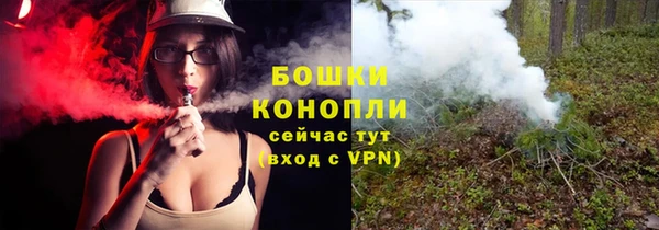 сатива Заводоуковск