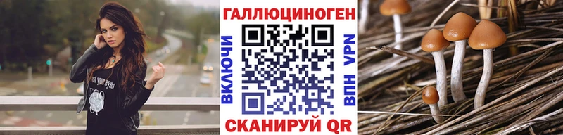 Галлюциногенные грибы Cubensis  хочу   площадка формула  Каменка  blacksprut маркетплейс 