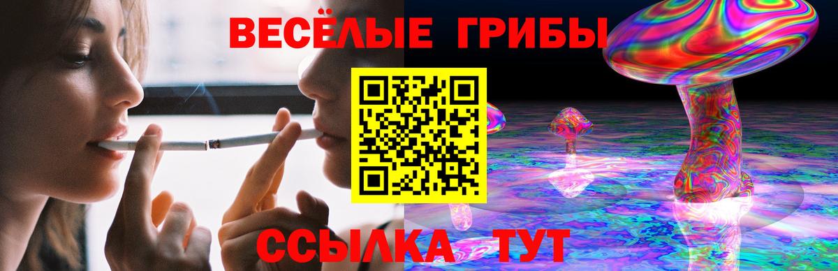 Галлюциногенные грибы мухоморы Каменка